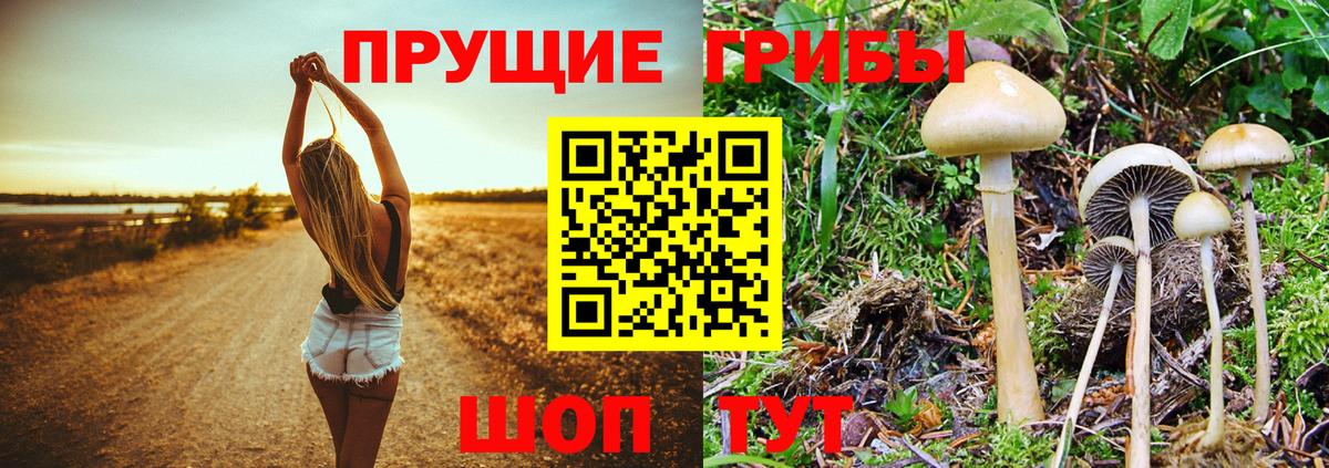 Псилоцибиновые грибы мухоморы Видное