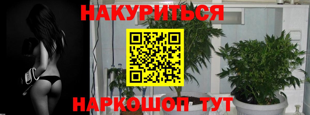 Бошки Шишки сатива  Бошки Шишки VHQ  Вход с VPN  Видное  Бошки Шишки SATIVA & INDICA 